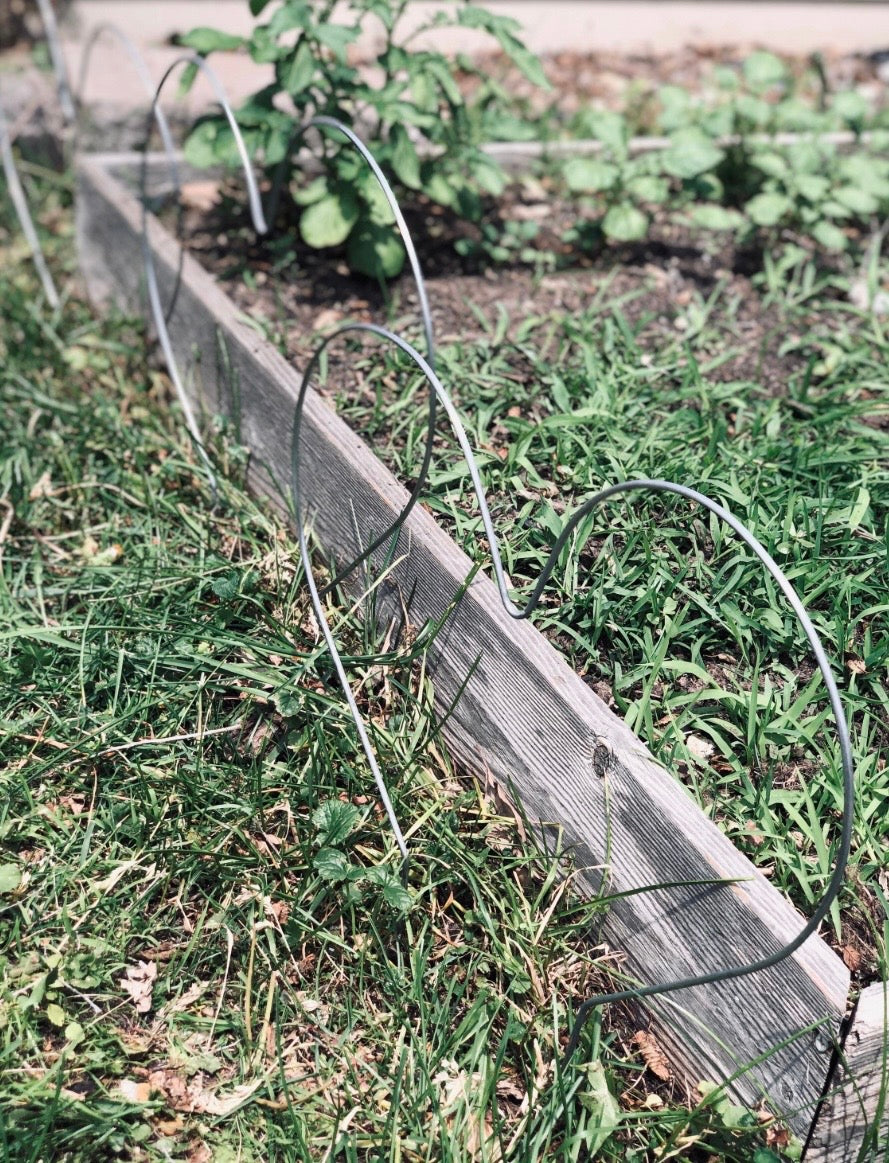 Heart Shaped Wire