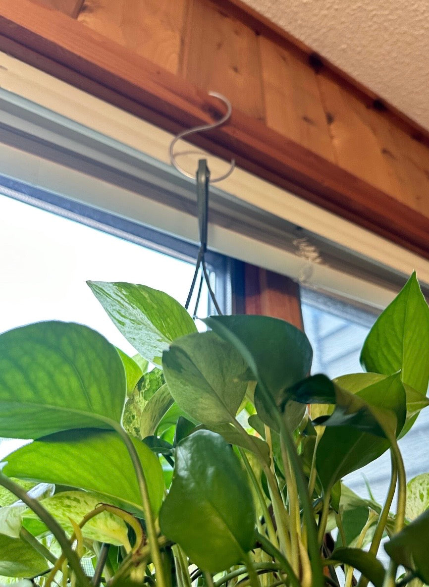 12” S Hooks for Hanging Plants & Baskets – Heavy Duty Metal Garden Hooks (Set of 3)| EJGlamos
