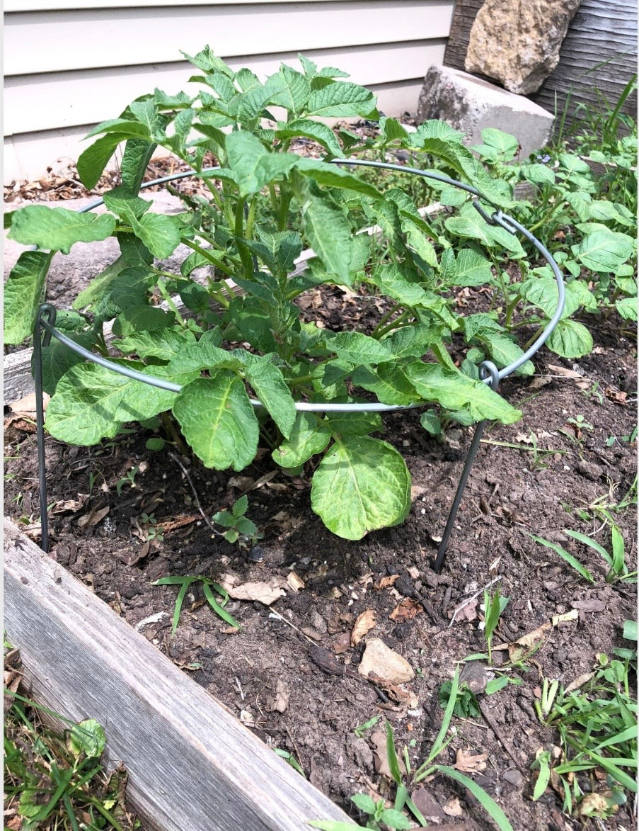 12 x 14 Folding Plant Support