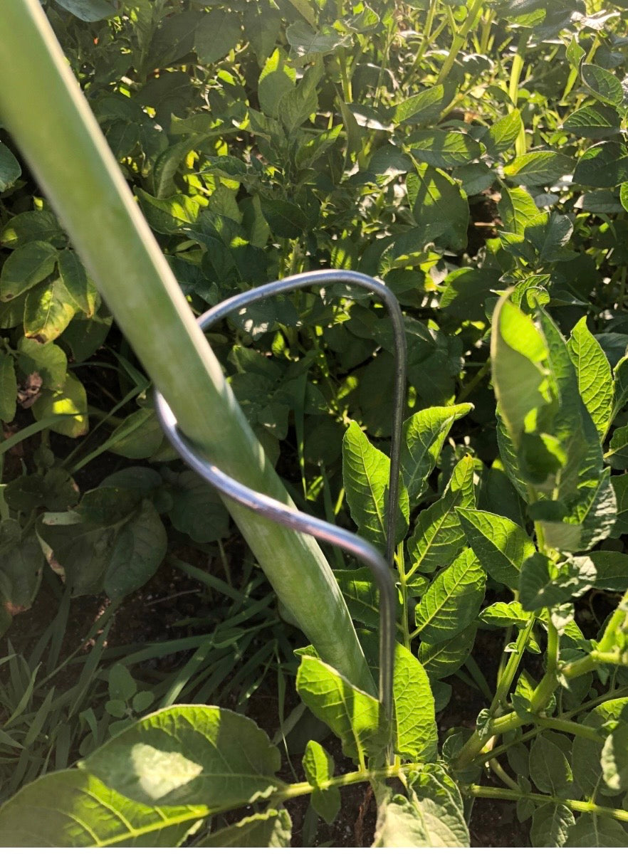 14” Galvanized Steel Half Hoop Plant Supports – Floral Garden Stakes (Set of 6)